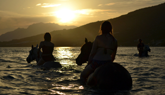 Cours de voltige et d'équitation pour les enfants pendant des vacances équestres en Norvège, au nord de la région des fjords - Rando Cheval / Absolu Voyage