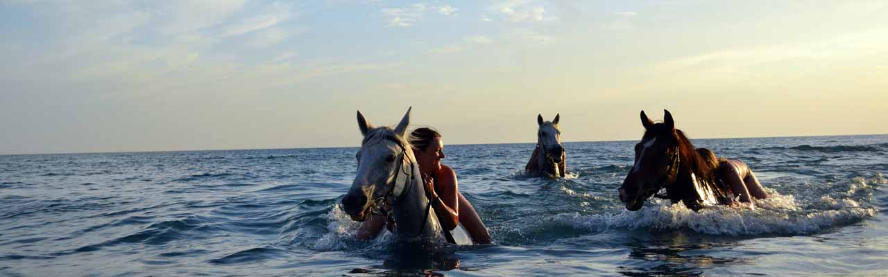 Voyage à cheval en Crête - Randonnée équestre organisée par Randocheval