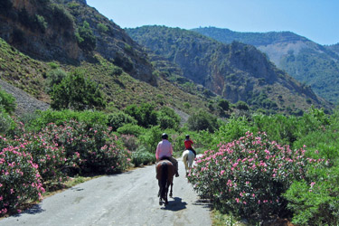 Voyage à cheval en Crête - Randonnée équestre organisée par Randocheval