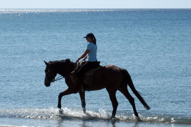 Voyage à cheval en Crête - Randonnée équestre organisée par Randocheval