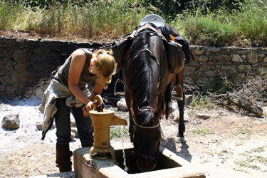 Voyage à cheval en Crête - Randonnée équestre organisée par Randocheval