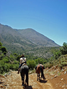 La crète à cheval - Rando cheval - RANDOCHEVAL