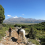 Randonnée en Corse, Agriates - RANDOCHEVAL