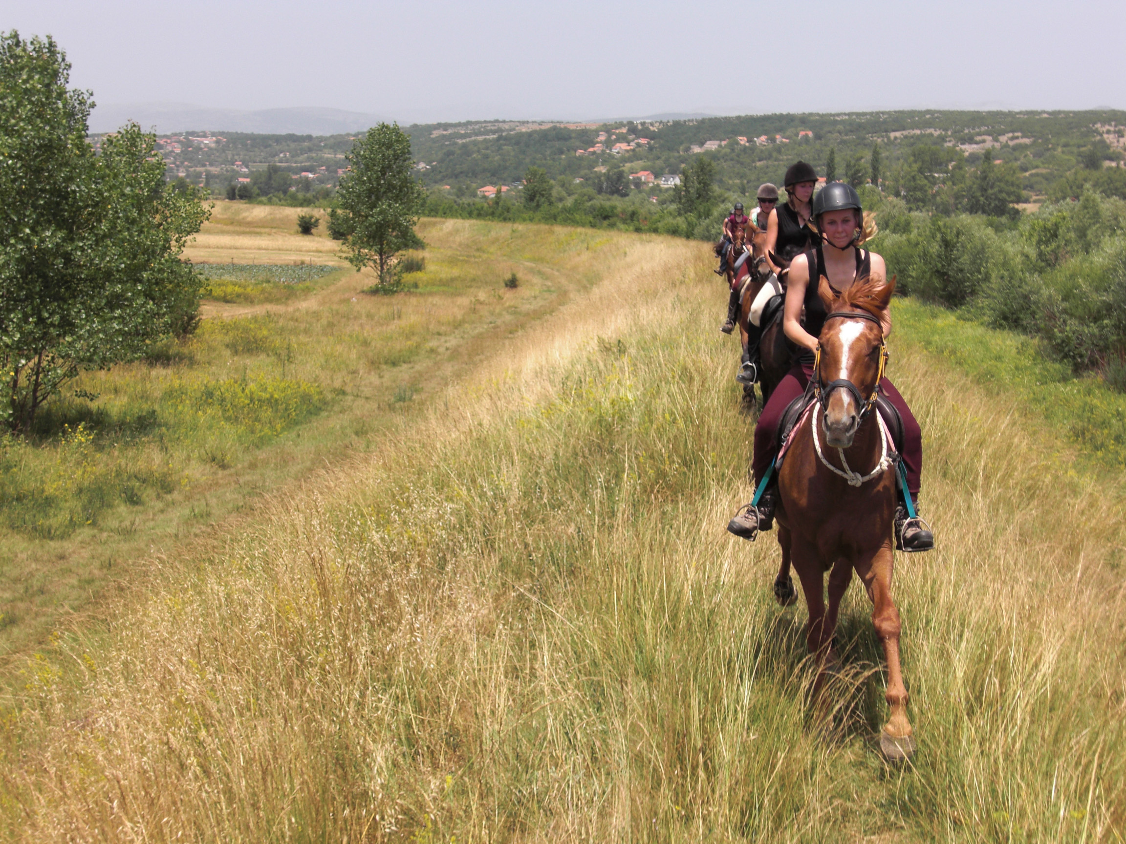 randonnée équestre en Craotie (Dalmatie) entre terre et eau - Randocheval / Absolu voyages