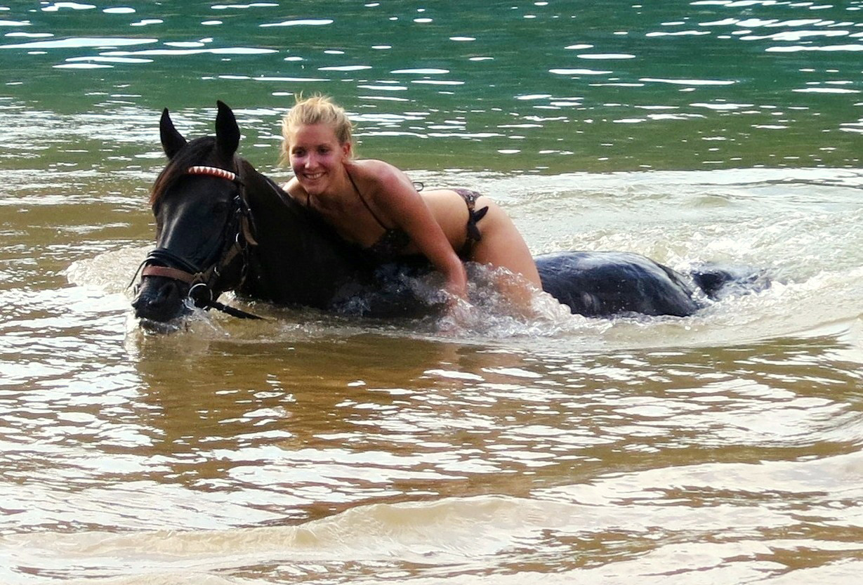 randonnée équestre en Craotie (Dalmatie) entre terre et eau - Randocheval / Absolu voyages