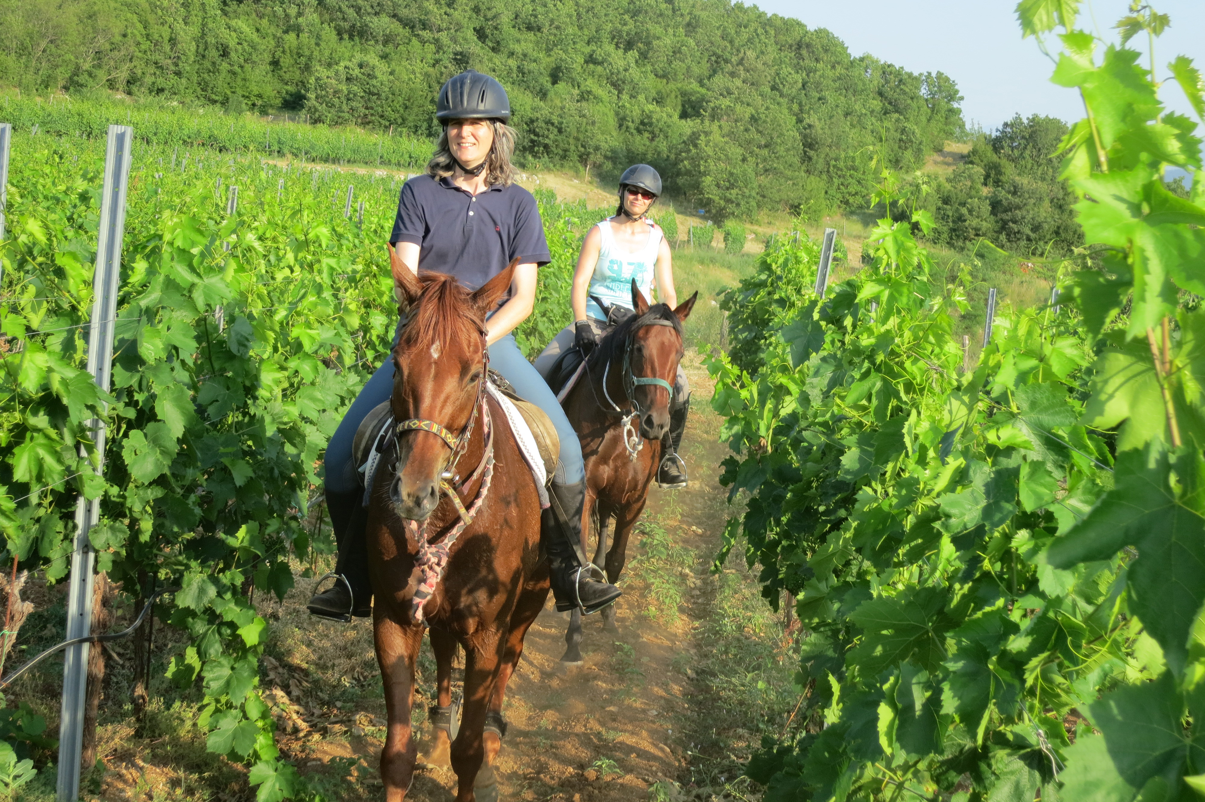 randonnée équestre en Craotie (Dalmatie) entre terre et eau - Randocheval / Absolu voyages