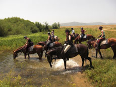 randonnée équestre en Craotie (Dalmatie) entre terre et eau - Randocheval / Absolu voyages