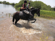 randonnée équestre en Craotie (Dalmatie) entre terre et eau - Randocheval / Absolu voyages