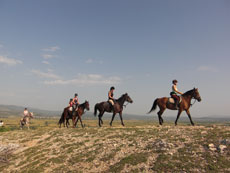 randonnée équestre en Craotie (Dalmatie) entre terre et eau - Randocheval / Absolu voyages