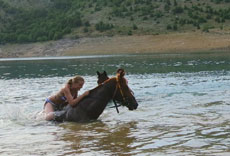 randonnée équestre en Craotie (Dalmatie) entre terre et eau - Randocheval / Absolu voyages