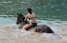 randonnée équestre en Craotie (Dalmatie) entre terre et eau - Randocheval / Absolu voyages