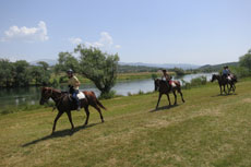 randonnée équestre en Craotie (Dalmatie) entre terre et eau - Randocheval / Absolu voyages