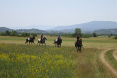 randonnée équestre en Craotie (Dalmatie) entre terre et eau - Randocheval / Absolu voyages