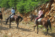 randonnée équestre en Craotie (Dalmatie) entre terre et eau - Randocheval / Absolu voyages