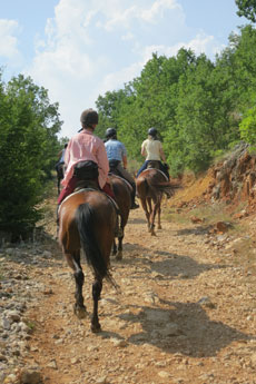 randonnée équestre en Craotie (Dalmatie) entre terre et eau - Randocheval / Absolu voyages