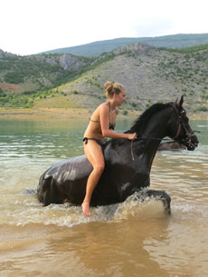 randonnée équestre en Craotie (Dalmatie) entre terre et eau - Randocheval / Absolu voyages