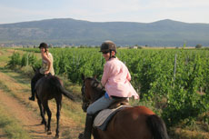 randonnée équestre en Craotie (Dalmatie) entre terre et eau - Randocheval / Absolu voyages