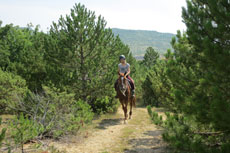 randonnée équestre en Craotie (Dalmatie) entre terre et eau - Randocheval / Absolu voyages