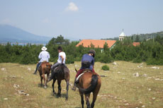 randonnée équestre en Craotie (Dalmatie) entre terre et eau - Randocheval / Absolu voyages