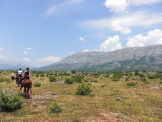 randonnée équestre en Craotie (Dalmatie) entre terre et eau - Randocheval / Absolu voyages