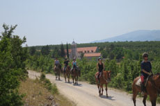 randonnée équestre en Craotie (Dalmatie) entre terre et eau - Randocheval / Absolu voyages