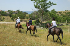 randonnée équestre en Craotie (Dalmatie) entre terre et eau - Randocheval / Absolu voyages