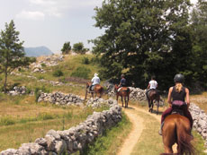 randonnée équestre en Craotie (Dalmatie) entre terre et eau - Randocheval / Absolu voyages