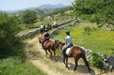 randonnée équestre en Craotie (Dalmatie) entre terre et eau - Randocheval / Absolu voyages