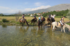 randonnée équestre en Craotie (Dalmatie) entre terre et eau - Randocheval / Absolu voyages