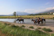 randonnée équestre en Craotie (Dalmatie) entre terre et eau - Randocheval / Absolu voyages