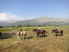 randonnée équestre en Craotie (Dalmatie) entre terre et eau - Randocheval / Absolu voyages