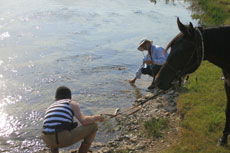 randonnée équestre en Craotie (Dalmatie) entre terre et eau - Randocheval / Absolu voyages