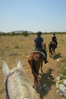 randonnée équestre en Craotie (Dalmatie) entre terre et eau - Randocheval / Absolu voyages