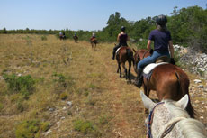 randonnée équestre en Craotie (Dalmatie) entre terre et eau - Randocheval / Absolu voyages