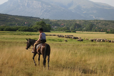 Rando Cheval en Croatie (Dalmatie) - Voyage à cheval