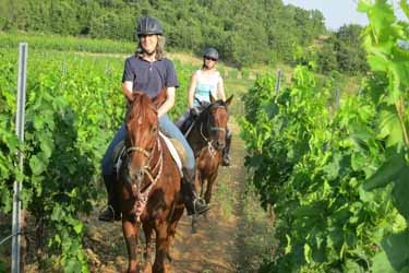 Rando Cheval en Croatie (Dalmatie) - Voyage à cheval