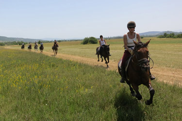 Rando Cheval en Croatie (Dalmatie) - Voyage à cheval