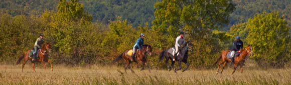 Rando Cheval en Croatie (Dalmatie) - Voyage à cheval