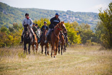 Rando Cheval en Croatie (Dalmatie) - Voyage à cheval