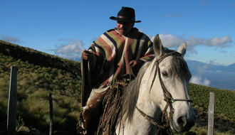 Rassemblement des troupeaux en Islande - RANDOCHEVAL