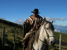 Equateur - Groupe de cavaliers  - Randonnée équestre sur l'avenue des volcans - Randocheval / Absolu voyages