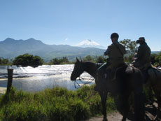 Equateur - Groupe de cavaliers  - Randonnée équestre sur l'avenue des volcans - Randocheval / Absolu voyages