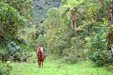 Randonnée équestre dans la Cordillère des Andes en Equateur, sur l'Avenue des Volcans - Rando Cheval / Absolu Voyages