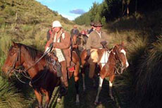 Equateur - Groupe de cavaliers  - Randonnée équestre sur l'avenue des volcans - Randocheval / Absolu voyages