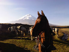 Equateur - Vues sur les sommets andins - Randonnée équestre sur l'avenue des volcans - Randocheval / Absolu voyages