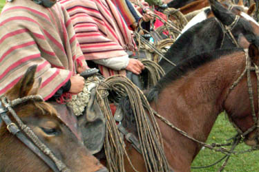 Voyage à cheval en Equateur - Randonnée équestre organisée par Randocheval