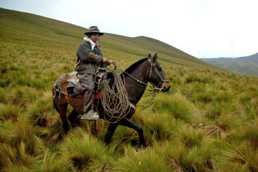 Voyage à cheval en Equateur - Randonnée équestre organisée par Randocheval