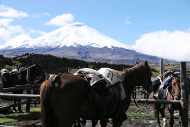 Voyage à cheval en Equateur - Randonnée équestre organisée par Randocheval