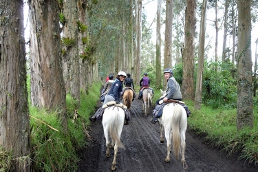 Voyage à cheval en Equateur - Randonnée équestre organisée par Randocheval