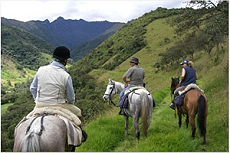 Voyage à cheval en Equateur - Randonnée équestre organisée par Randocheval